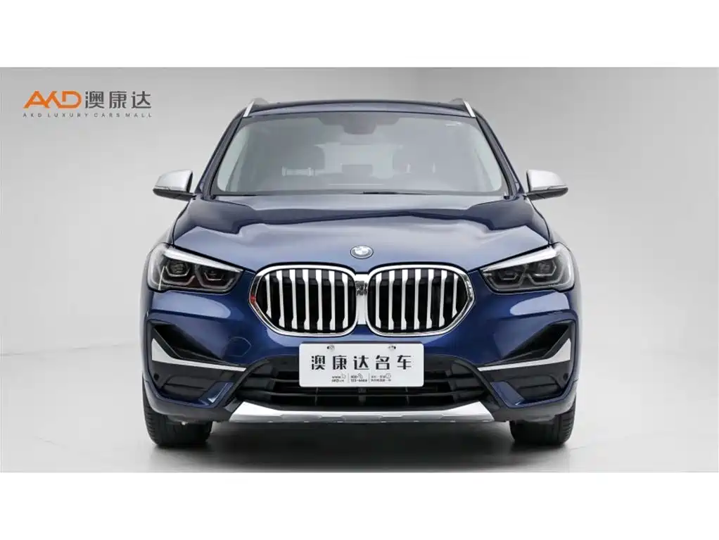 BMW X1 — миниатюра 2