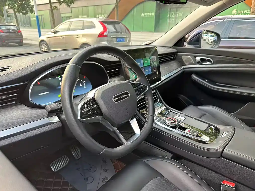 Skyworth EV6 — миниатюра 11