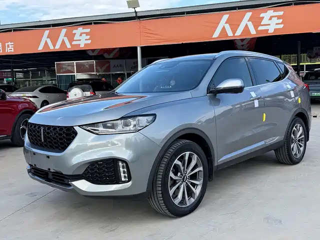2019 Wey VV6