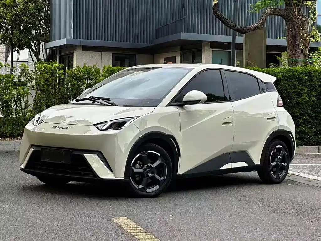 Byd Seagull 2023