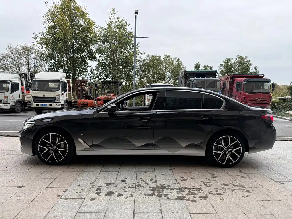 BMW 5 Series 5 2021 530Li Premium M Sport