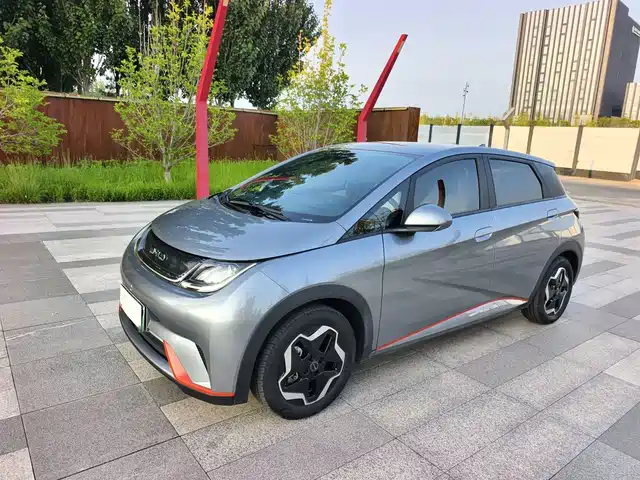 2022 BYD Dolphin
