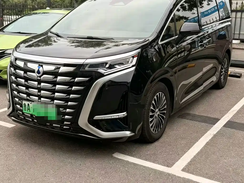 Denza Denza D9