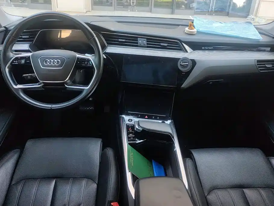 Audi e-tron (Import) — миниатюра 12