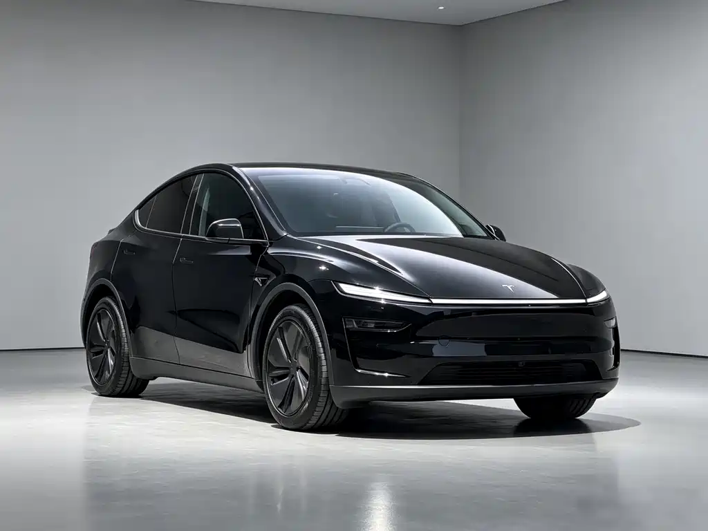Tesla Model Y — миниатюра 3