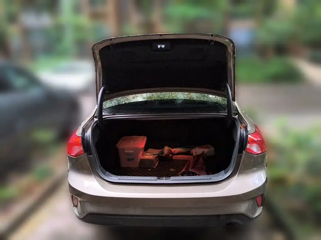 Ford Focus — миниатюра 10