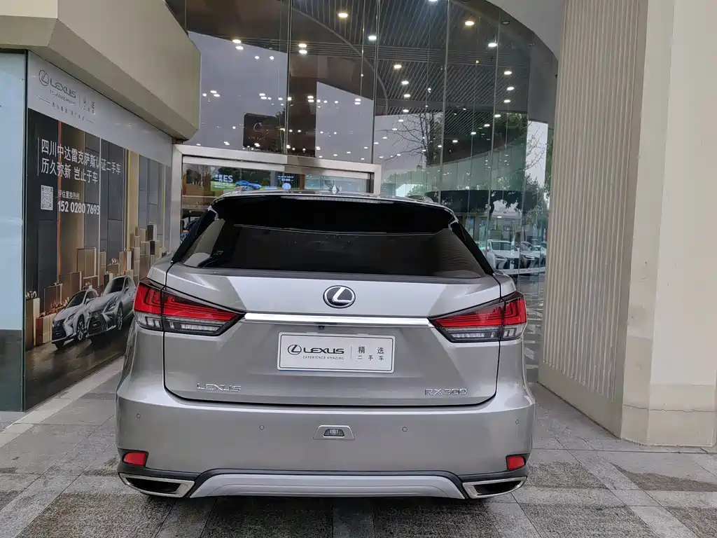Lexus RX 2020 300 Elegant VI