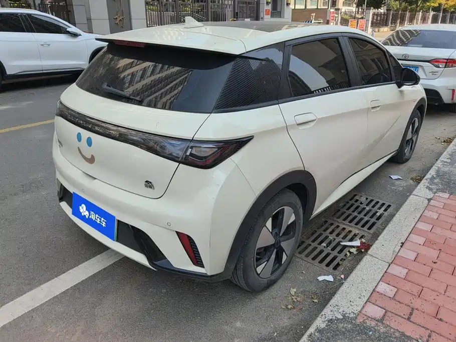 BYD Dolphin — миниатюра 3