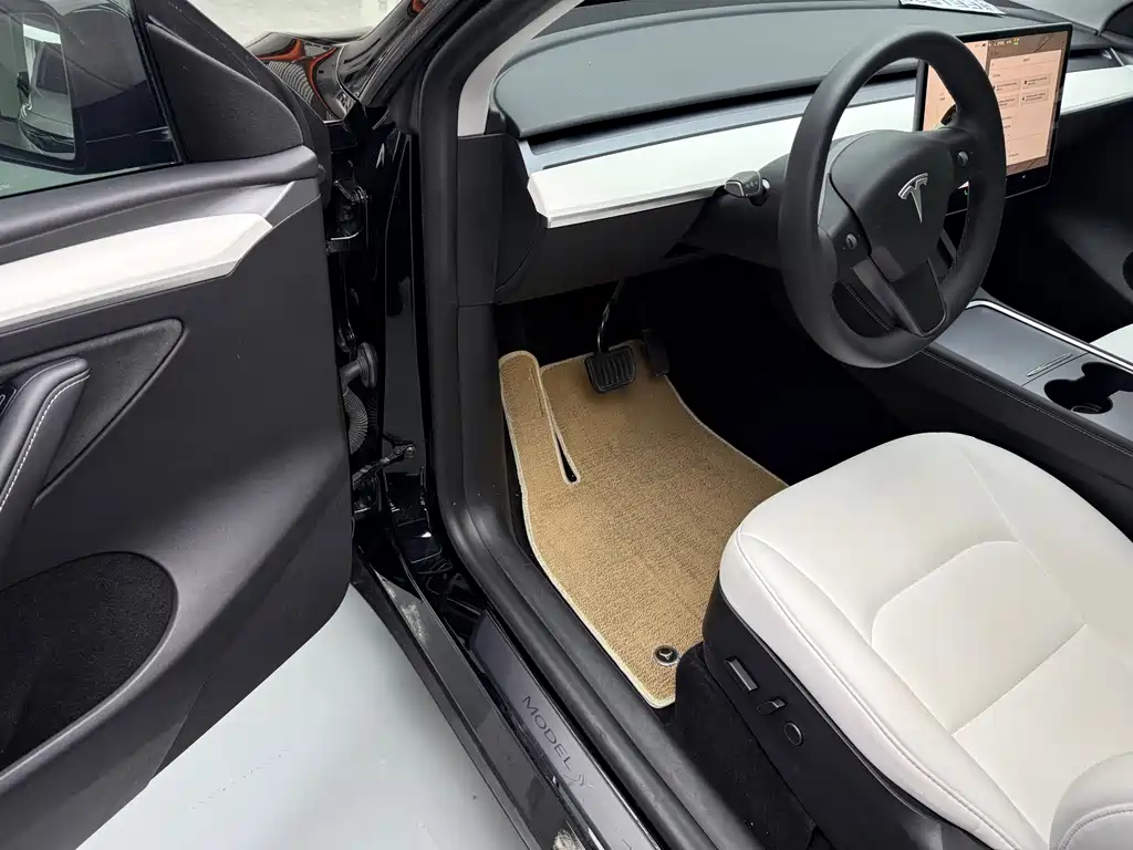 Tesla Model Y — миниатюра 5