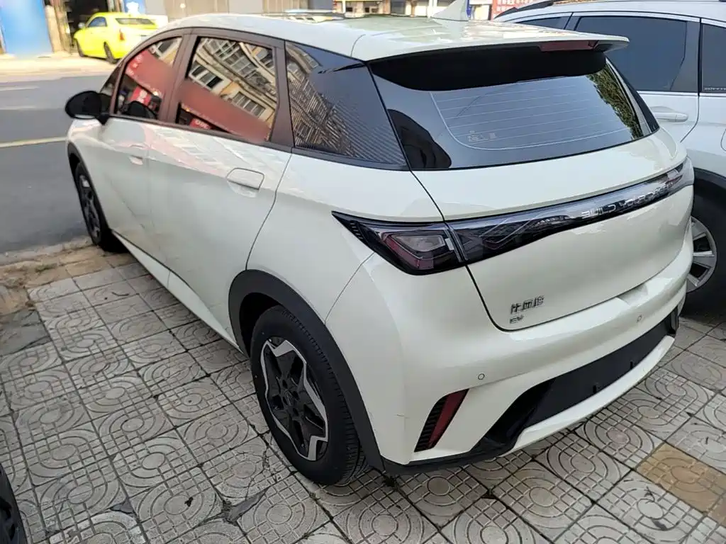 BYD Dolphin — миниатюра 5