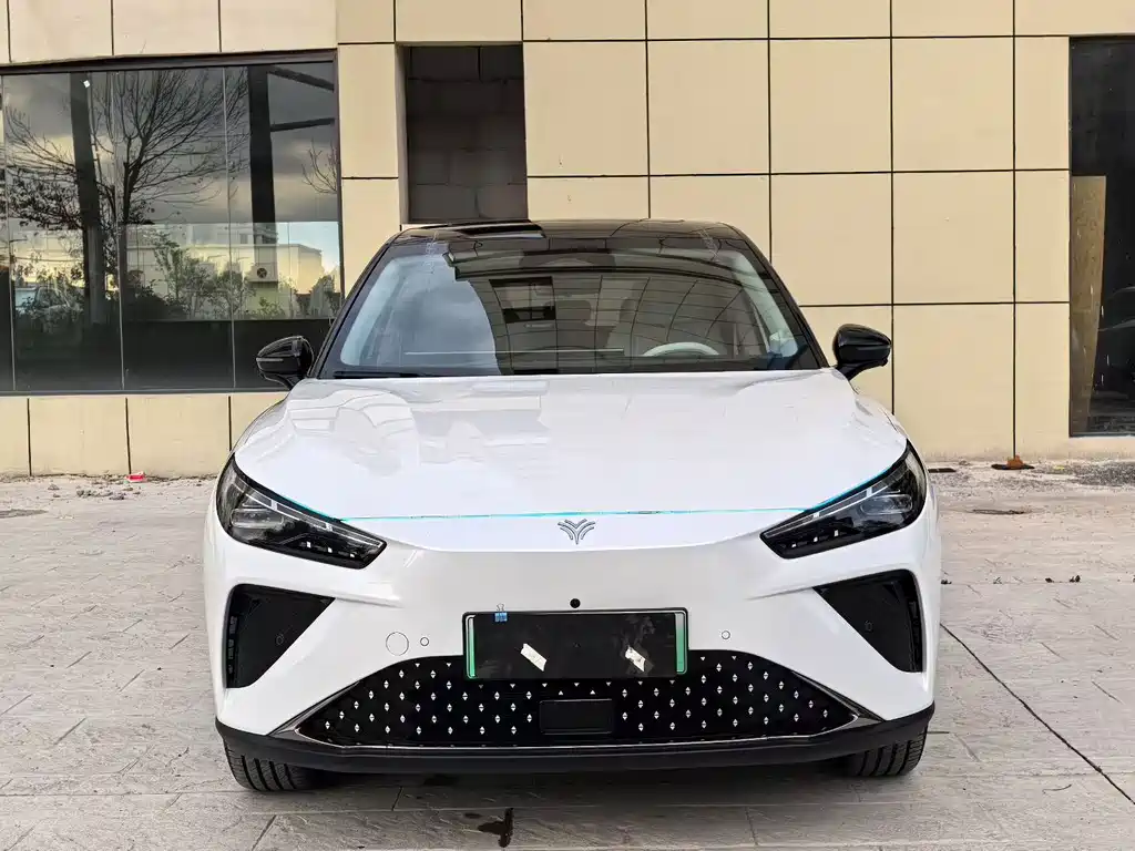 Neta Neta L — миниатюра 2