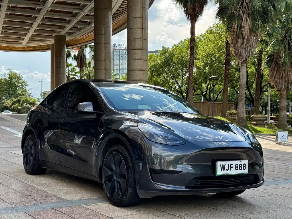 Tesla Model Y — миниатюра 3