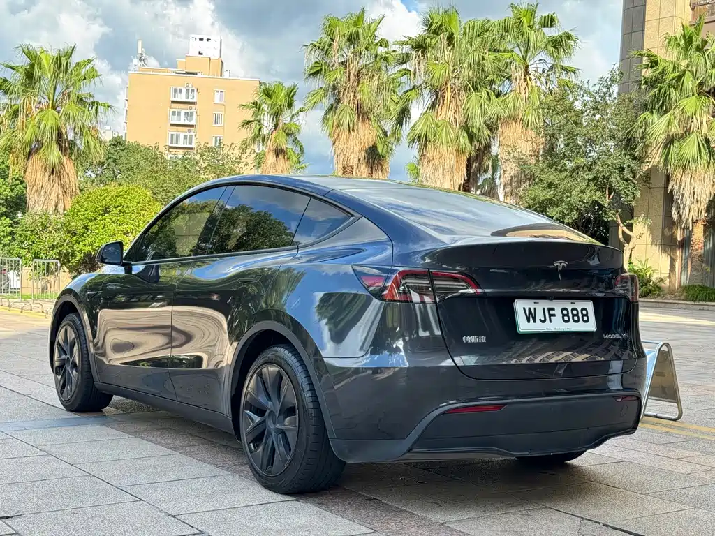 Tesla Model Y — миниатюра 4