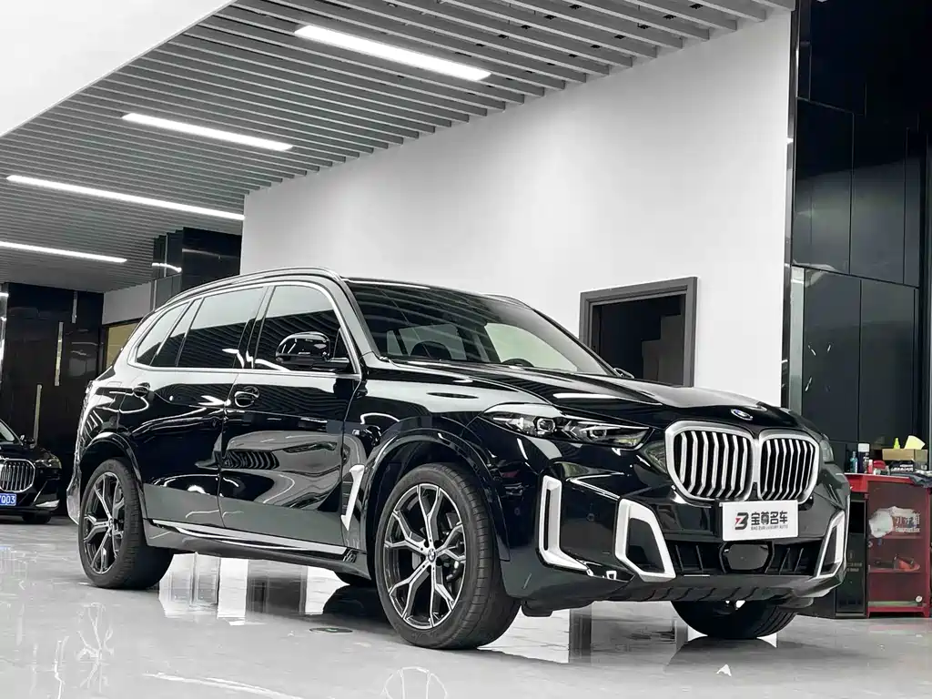 BMW X5 — миниатюра 3