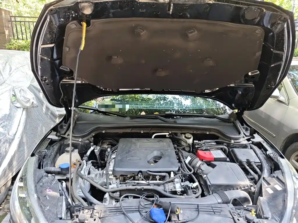 Ford Focus — миниатюра 16