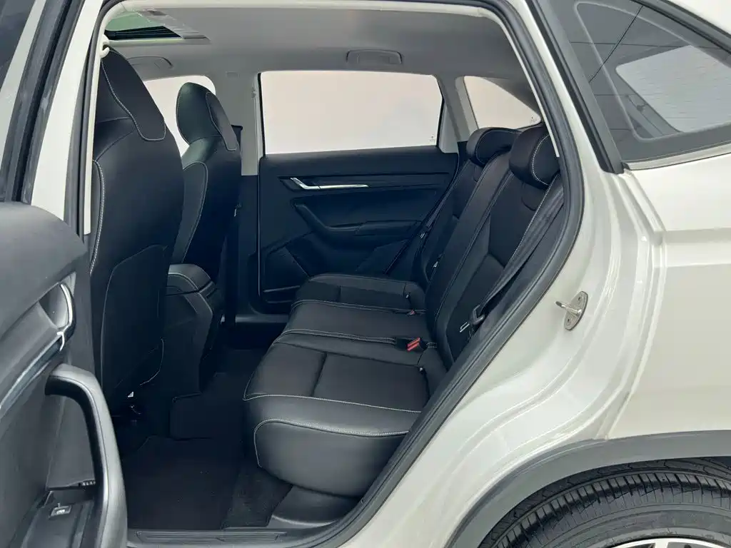 Skoda Kamiq — миниатюра 8