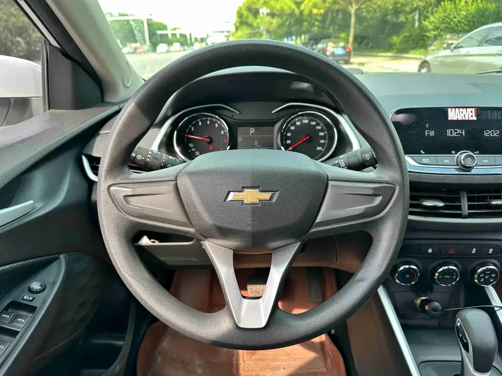 Chevrolet Cavalier — миниатюра 14