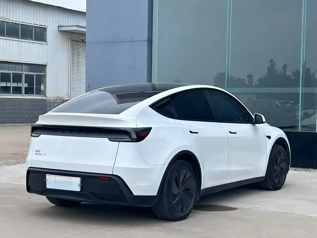 Tesla Model Y — миниатюра 2