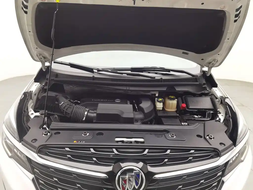 Buick GL8 — миниатюра 6