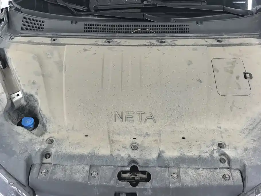 Neta Neta V — миниатюра 10