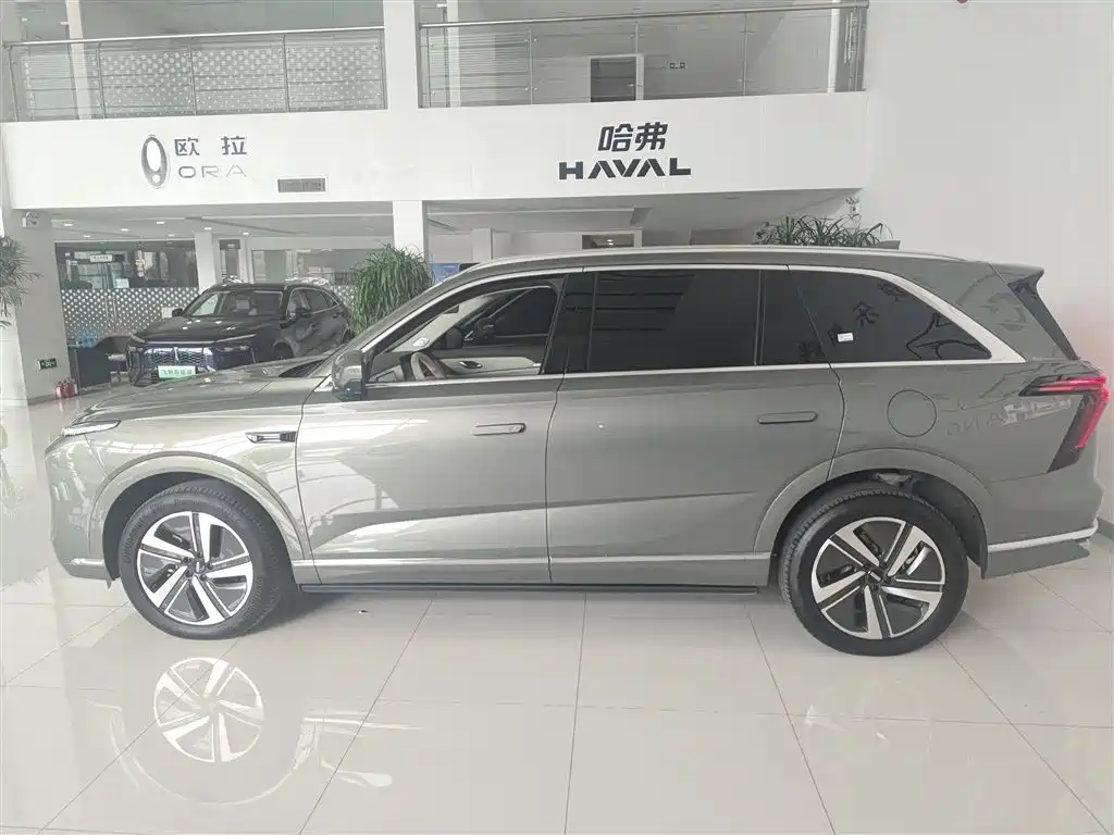 WEI PAI WEI BRAND BLUE MOUNTAIN