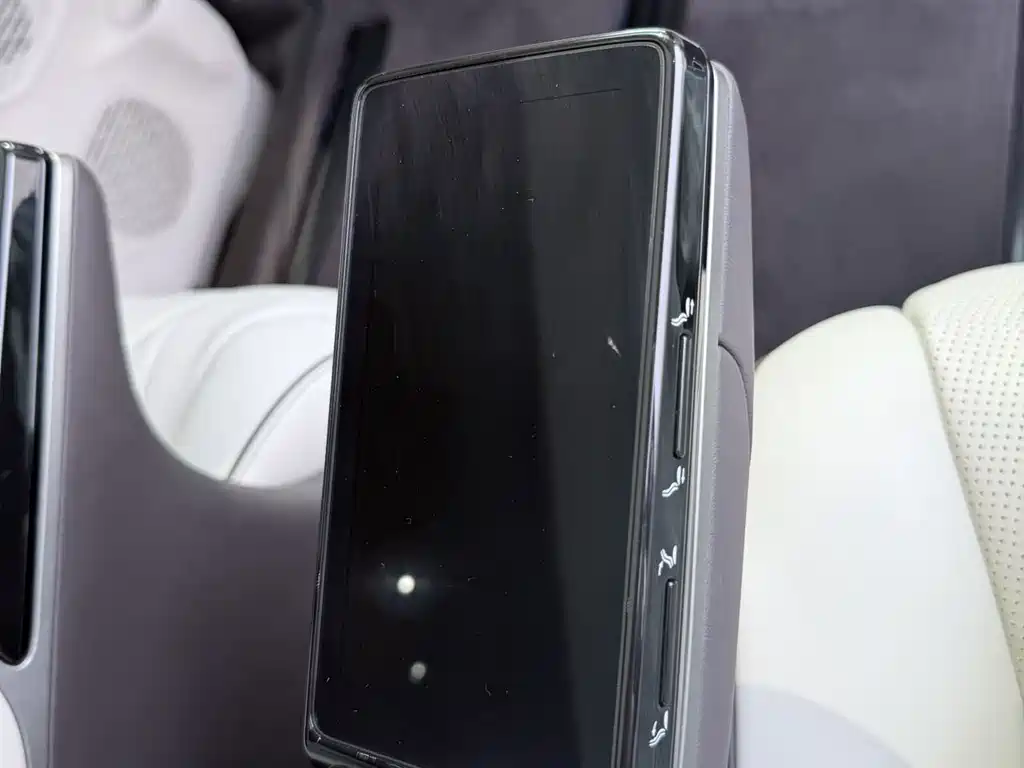 Denza Denza D9 — миниатюра 7