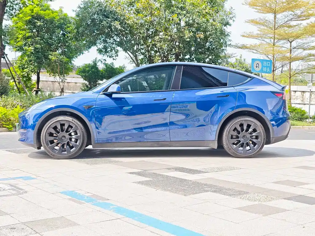Tesla Model Y — миниатюра 11