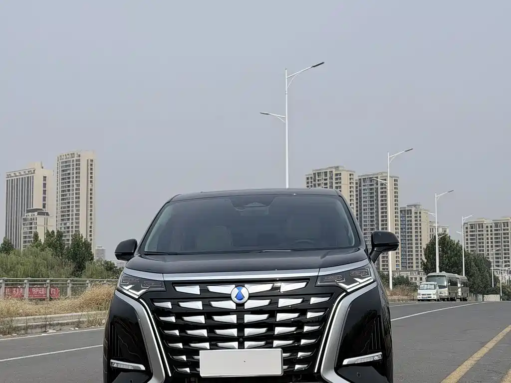 Denza Denza D9 — миниатюра 2