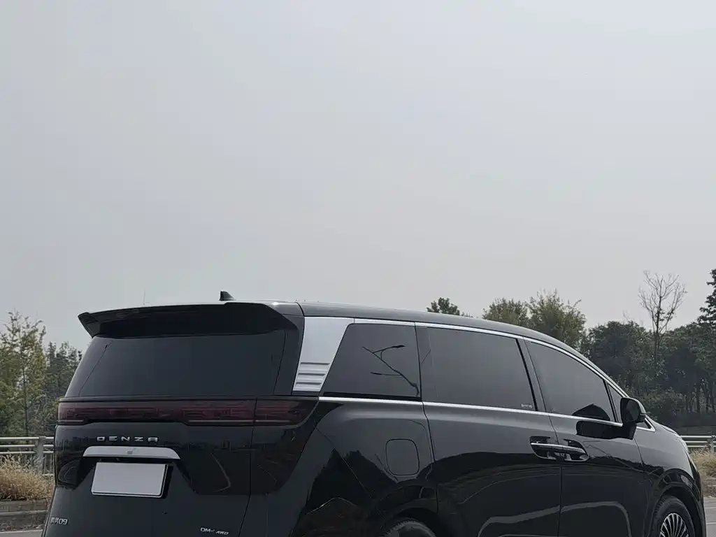 Denza Denza D9 — миниатюра 11