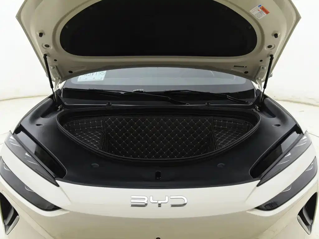 BYD Haisi 06 — миниатюра 17