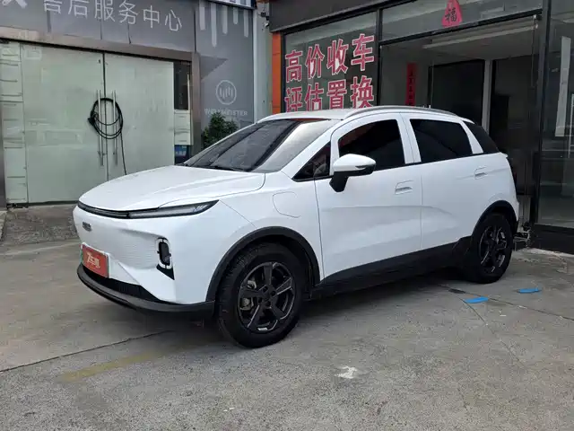 GEELY GEOMETRY  E FIREFLY 2024
