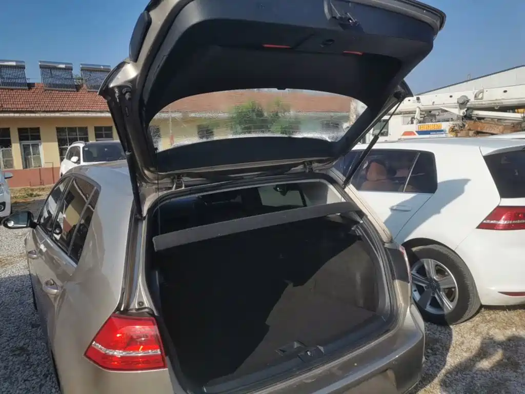 Volkswagen Golf — миниатюра 19