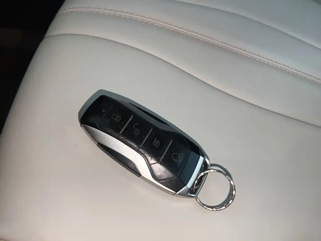 BYD PLUS New Energy — миниатюра 9