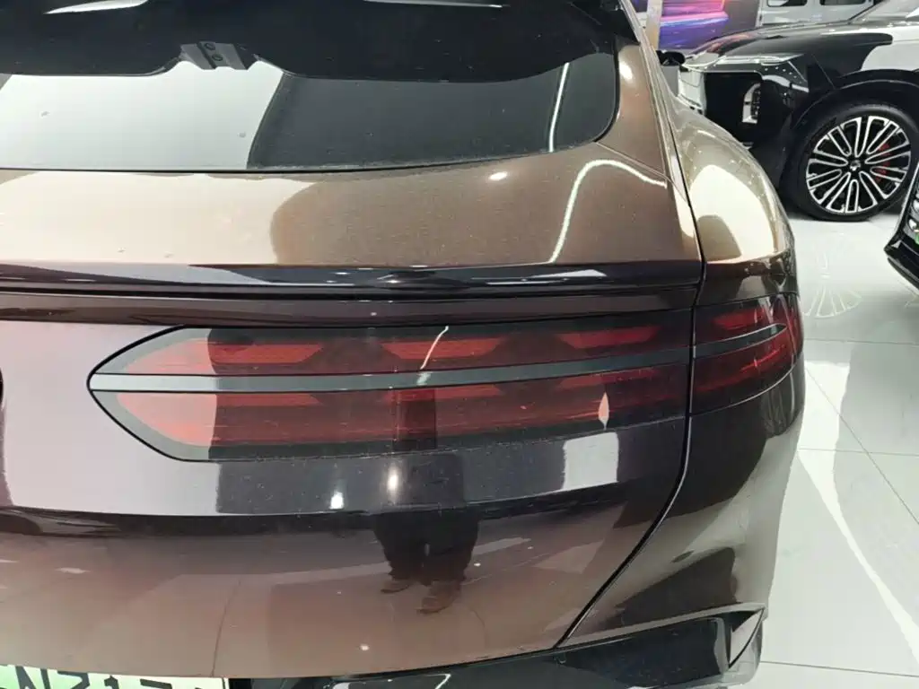 Denza Denza Z9GT — миниатюра 8
