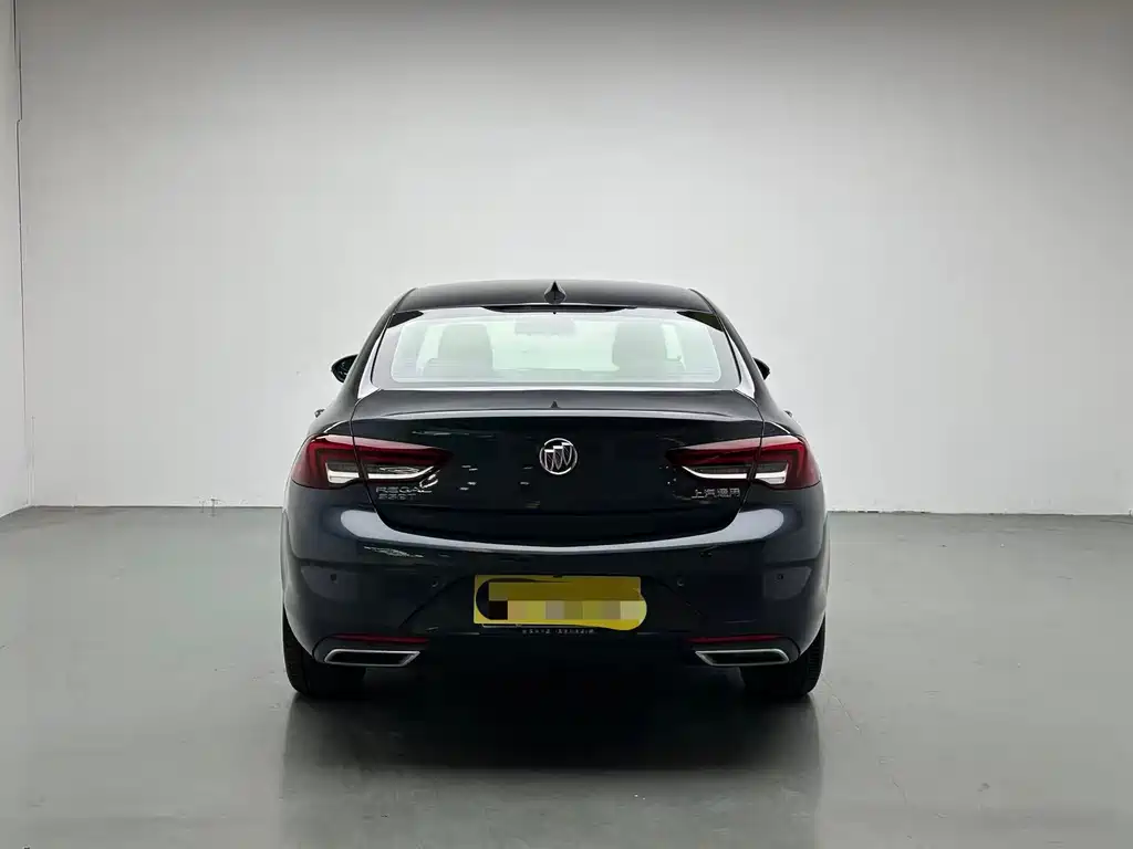 Buick Regal — миниатюра 8