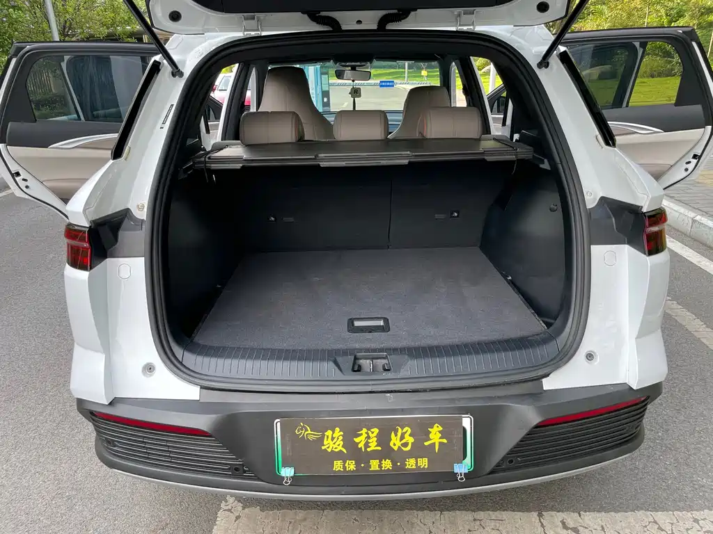BYD Pro New Energy — миниатюра 21