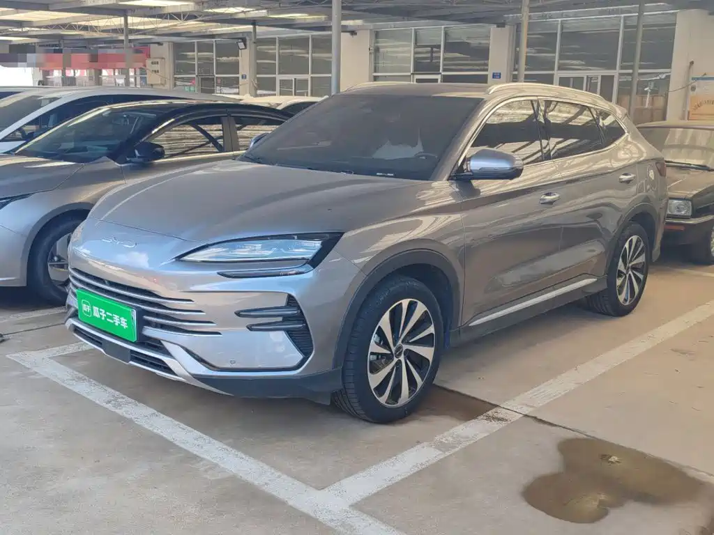 BYD PLUS New Energy — миниатюра 2
