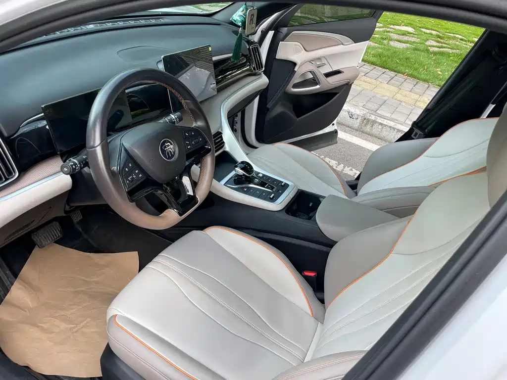 BYD Pro New Energy — миниатюра 11