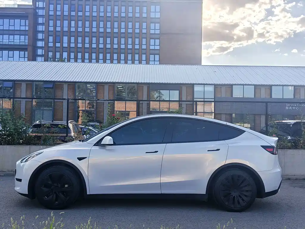 Tesla Model Y — миниатюра 5