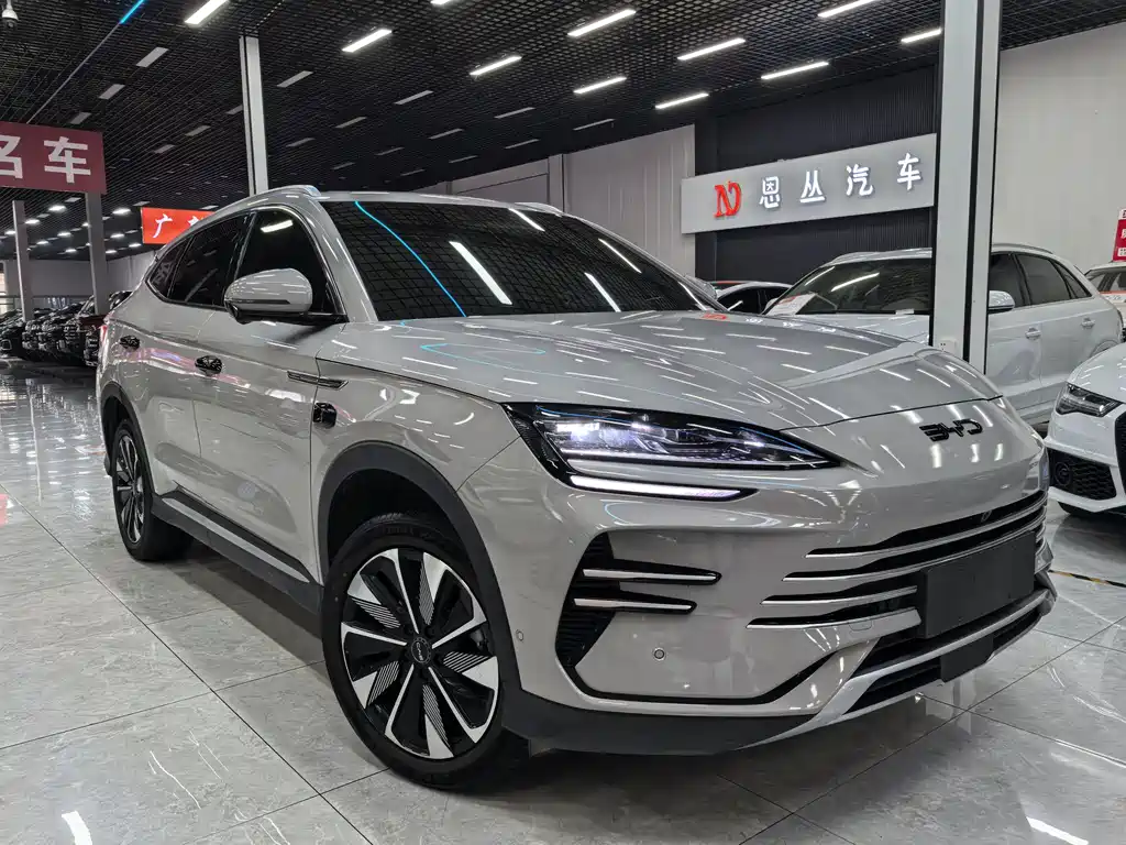 BYD PLUS New Energy — миниатюра 3