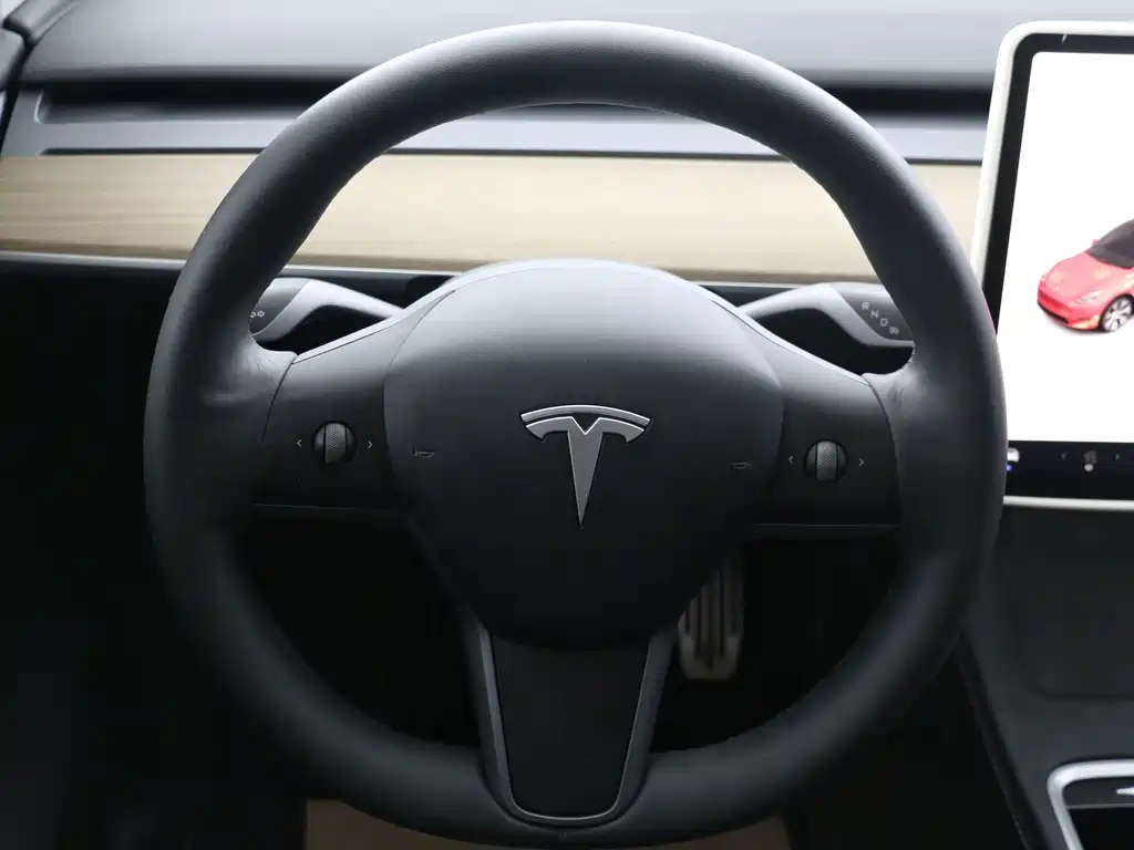 Tesla Model Y — миниатюра 11