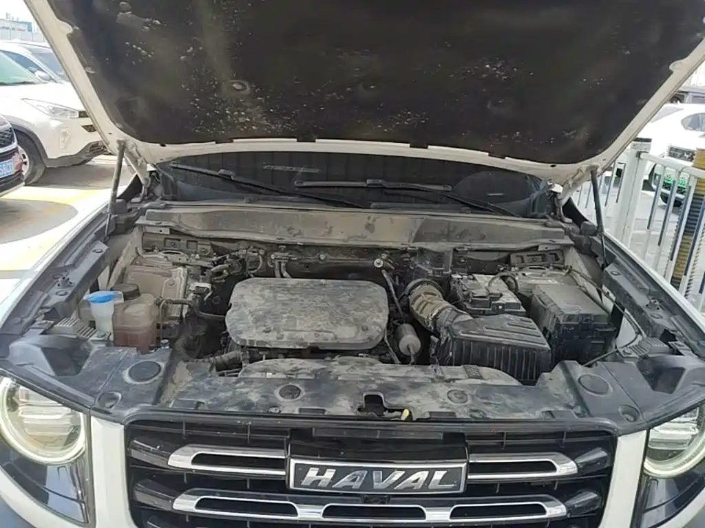 Haval Big Dog — миниатюра 20