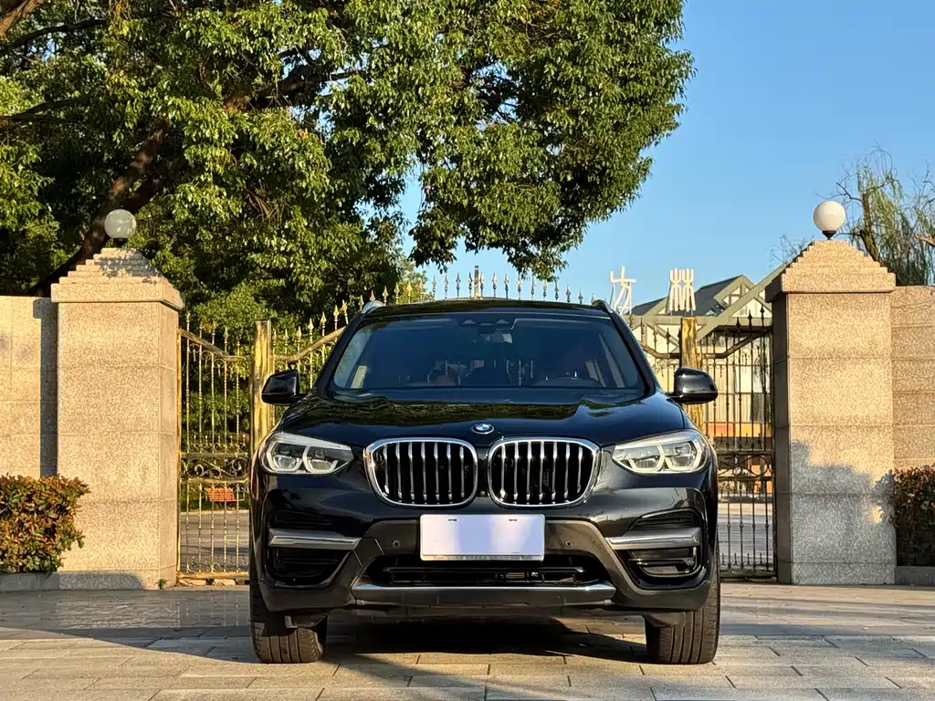BMW X3 — миниатюра 2