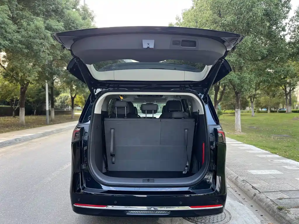 Buick GL8 Hybrid — миниатюра 15