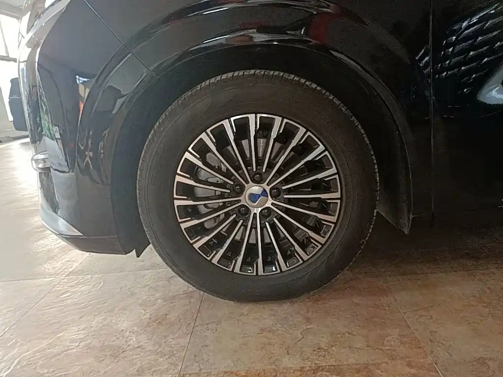 Denza Denza D9 — миниатюра 23