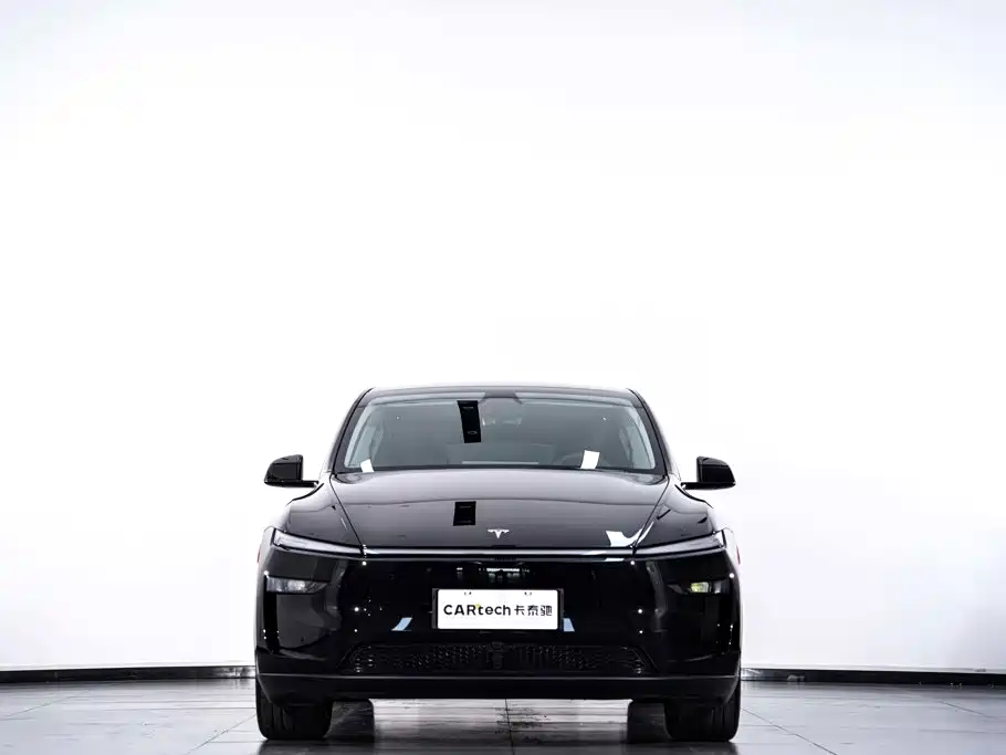 Tesla Model Y — миниатюра 4