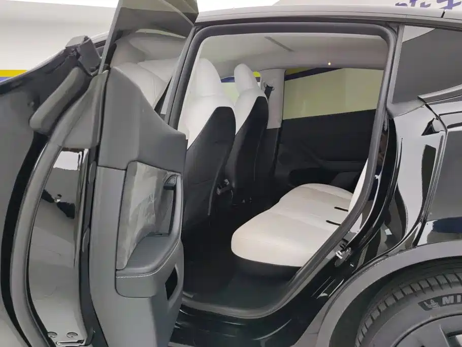 Tesla Model Y — миниатюра 11