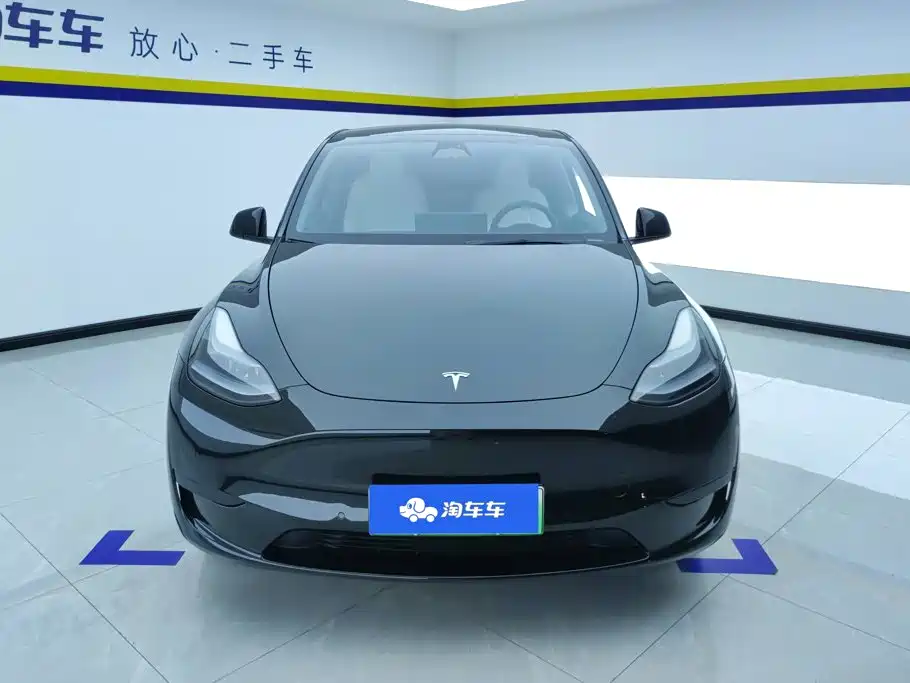 Tesla Model Y — миниатюра 2
