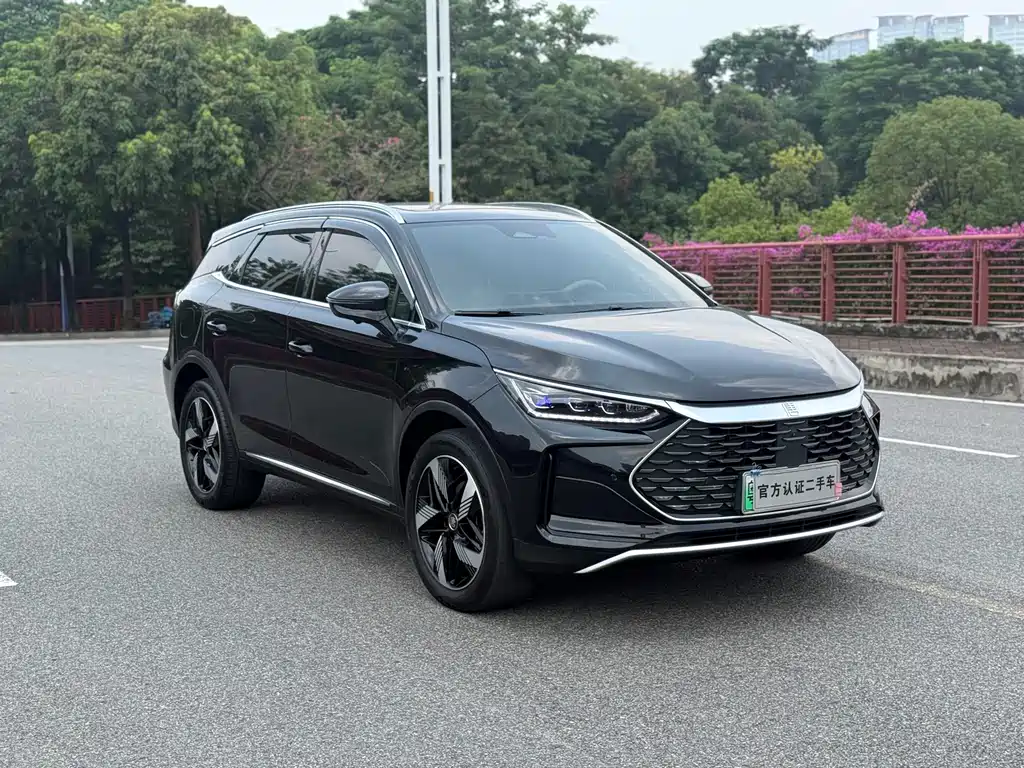 BYD Tang New Energy — миниатюра 3