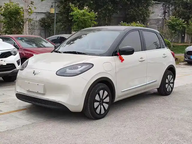 WULING WULING BINGGUO 2024